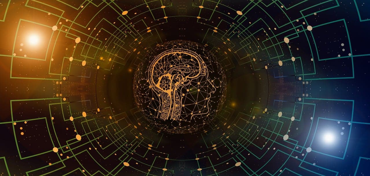 불안과 스트레스가 뇌에 미치는 영향 – 코르티솔과 뇌 신경망 변화