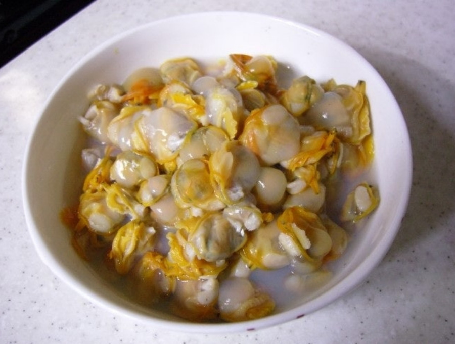 바다에서 채취를 한 모시조개의 속살만을 따로 분류를 하여 하얗고 동그란 그릇에 가득 담아두고 찍은 사진