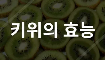 키위 효능과 부작용 비타민 풍부한 과일 정보_17