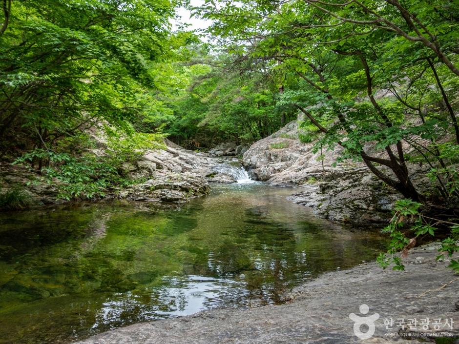 1곡 대소로 향하는 길은 봉래구곡 여정에서 가장 신비롭다. 많은 이가 직소폭포에서 발길을 돌리지만, 대소로 가는 길은 원시림 느낌이 나는 오롯한 숲길이다.