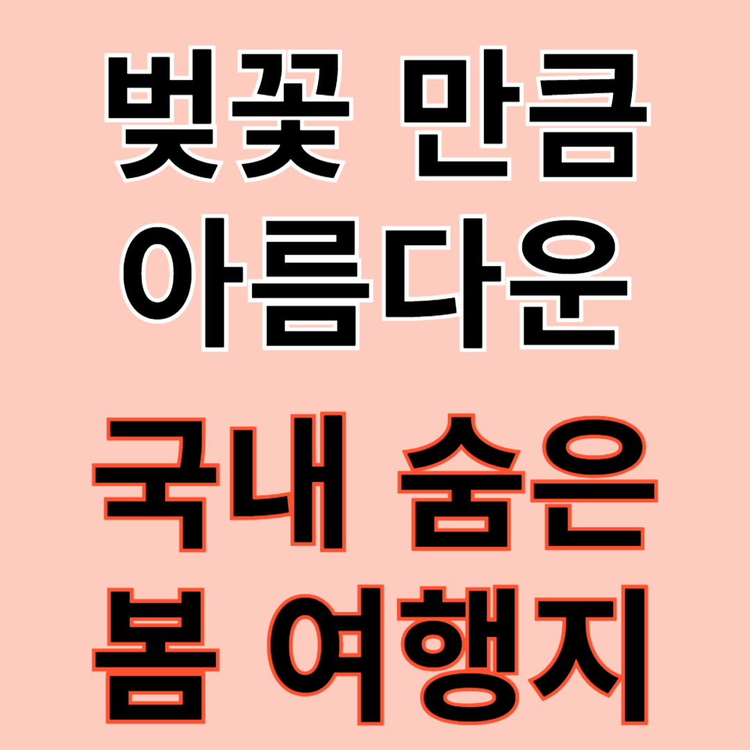 봄여행지
주말여행지
숨은여행지