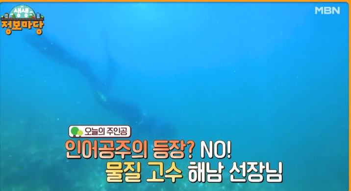 선장애 밥상 해루질 물질 고수 해남 선장님 직접 잡은 모듬 해산물 포항 호미곶 포장마차 맛집 추천