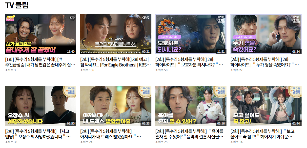 독수리 5형제를 부탁해