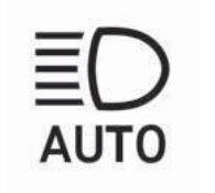 하이빔 보조 표시등