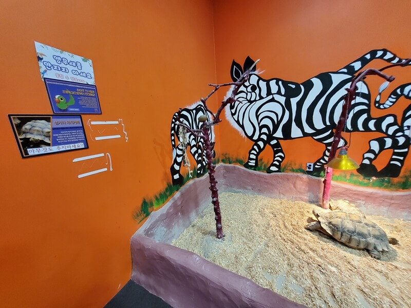 하이브실내동물원