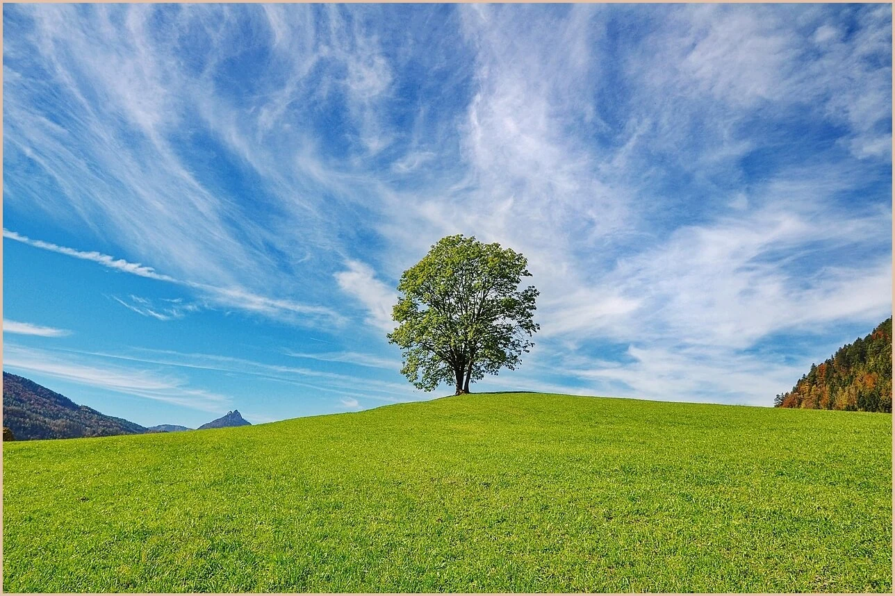기업은행 정기예금 금리