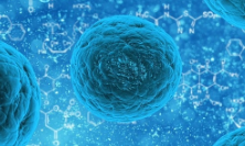 신라젠 주가 전망 &amp;#124; 신라젠(SJ-607) 국내 특허 등록! 주가 상승 기대?