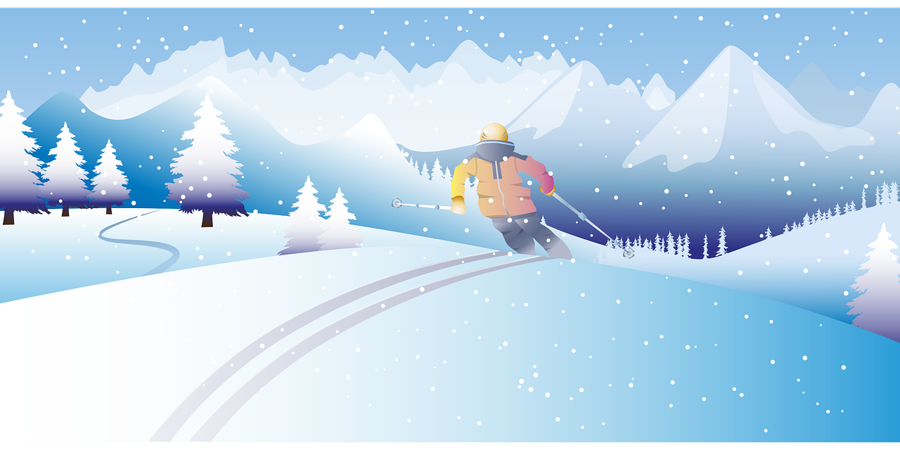 생활비 관리 이미지