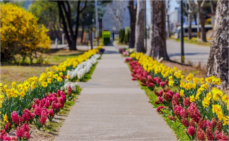 2TV 생생정보, 미리보기, 다시보기, 맛집 위치는?