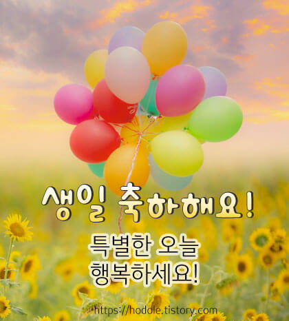 생일축하 메세지 문구 이미지 모음집7