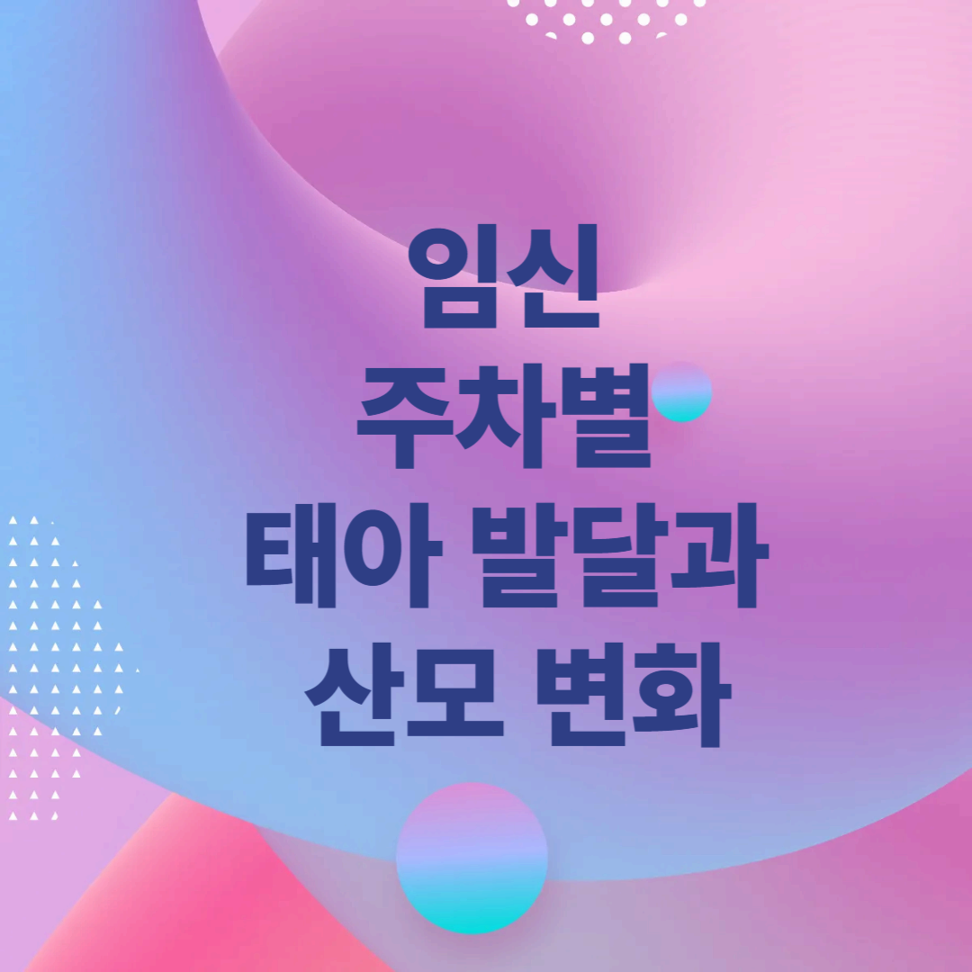 임신 주차별 태아 발달과 산모 변화