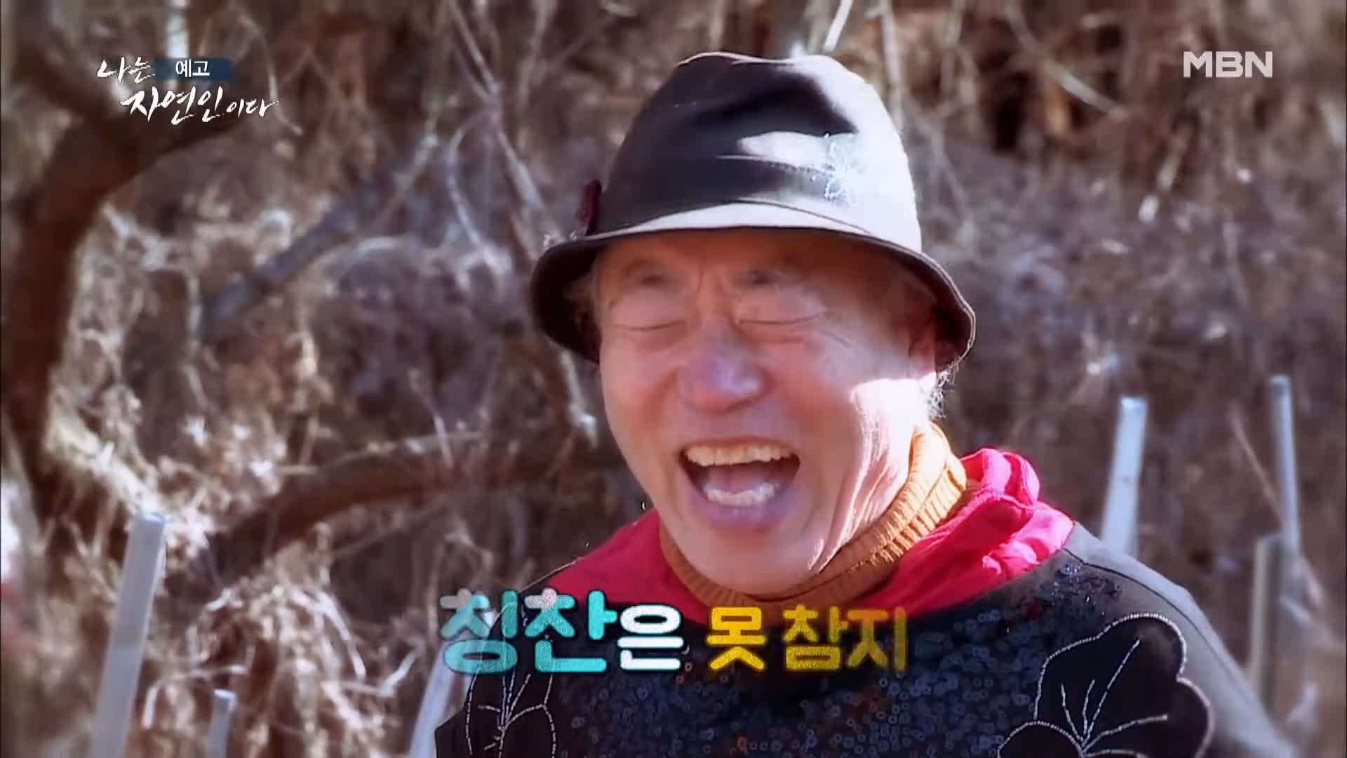나는 자연인이다 꿈꾸는 산과 나 패션 디자이너 출신 자연인 정순열 소개 및 이승윤 출연 534회 다시보기
