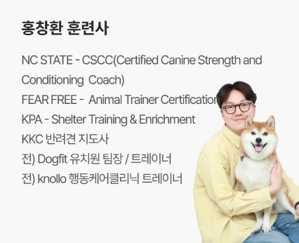 남동구 반려동물 교양 강좌 댕댕이를 위한 만가지 세미나 소개 일정 시간 참여 참가 신청 방법 펫마사지 반려견 사회화 교육 바디시그널