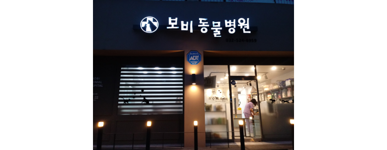 인천 부평구 동물병원