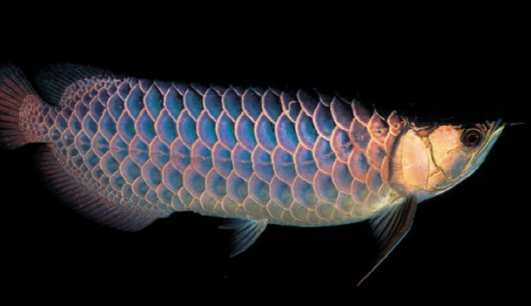 이천시 환경학습관