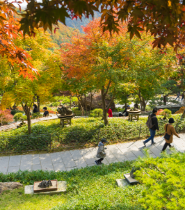 화담숲 예약 모노레일 예약 관람방법