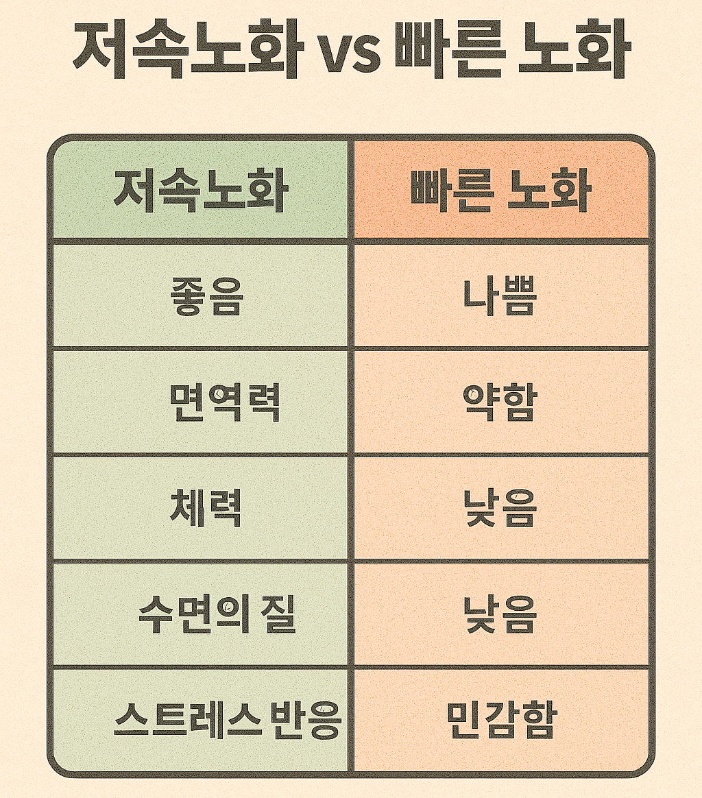 노화 비교