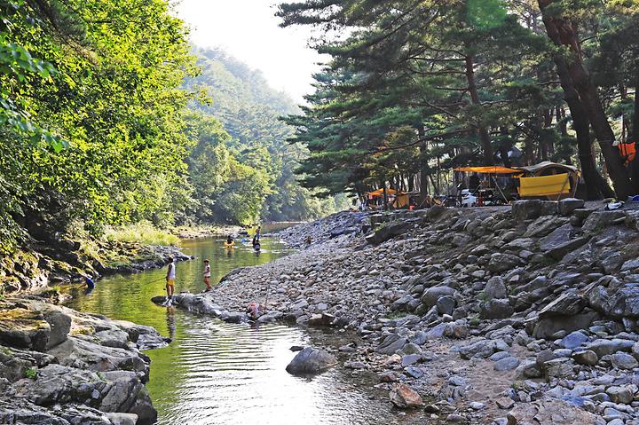 인생캠핑장, 영월 솔밭캠프장 소개