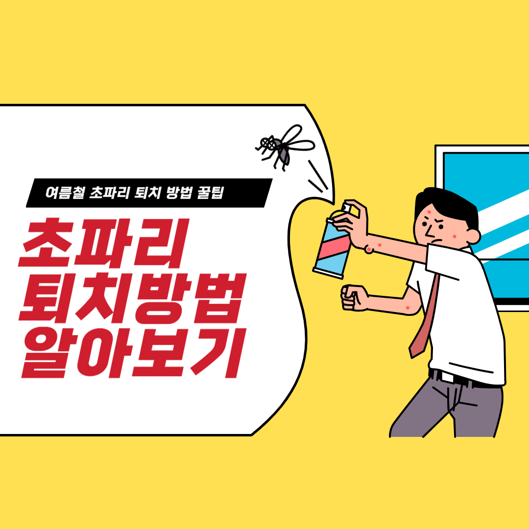 초파리 퇴치방법 알아보기