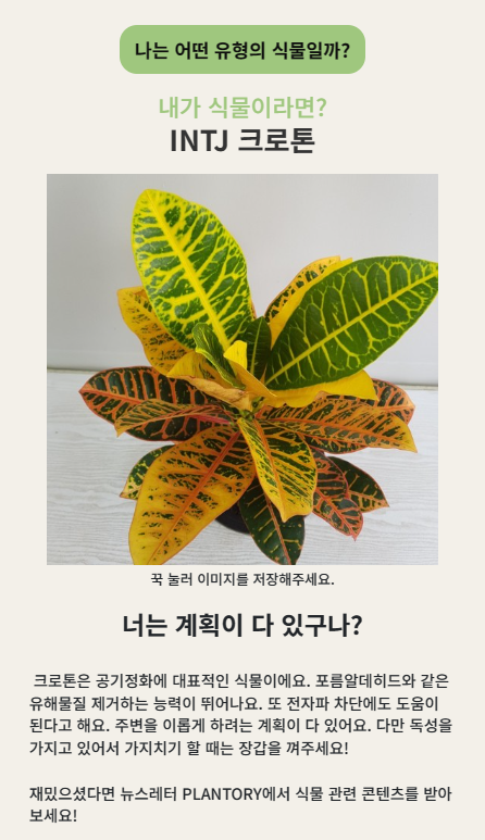 크로톤-결과