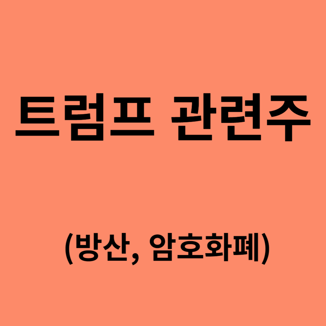 트럼프 관련주 (방산, 암호화폐)