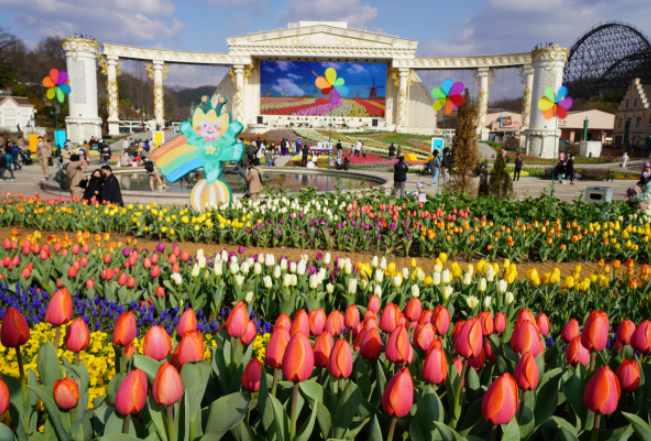 전국 벚꽃명소: 에버랜드 튤립축제