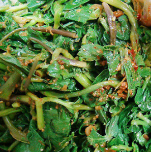 방풍나물 효능 부작용 요리 고르는법 칼로리