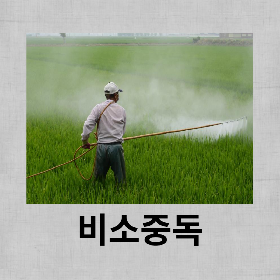 비소중독과 관련된 사진입니다.