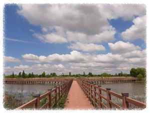 용안생태습지공원