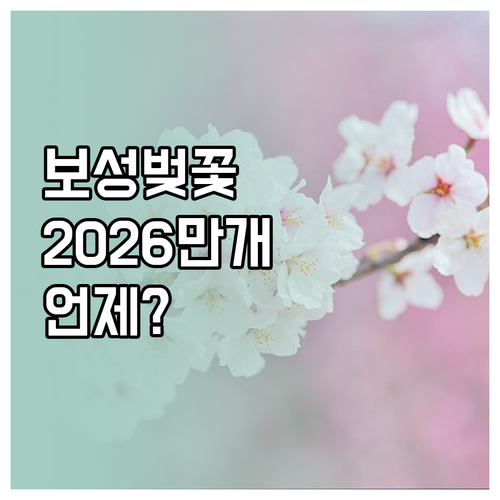 2026년 보성 벚꽃 개화 시기 및 ..
