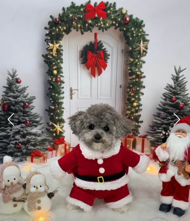 애견유치원-선생님-달인-서용석