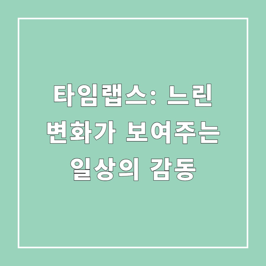 타임랩스: 느린 변화가 보여주는 일상의 감동