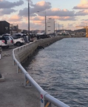 부산 차박하기 좋은 성지 TOP 5곳