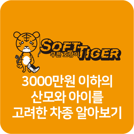 3000만원 이하의 산모와 아이를 고려한 차종 알아보기 썸네일