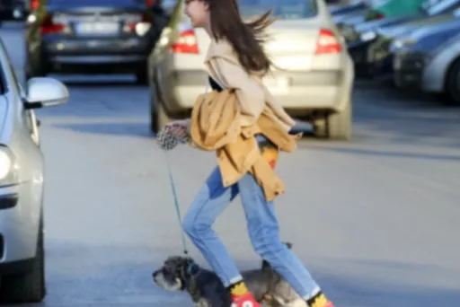 겨울철 엔진오일 부동액 체크해야 하는 이유 & 점검 방법