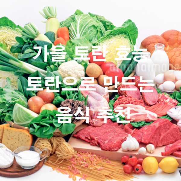 가을 토란 효능 토란으로 만드는 음식 추천