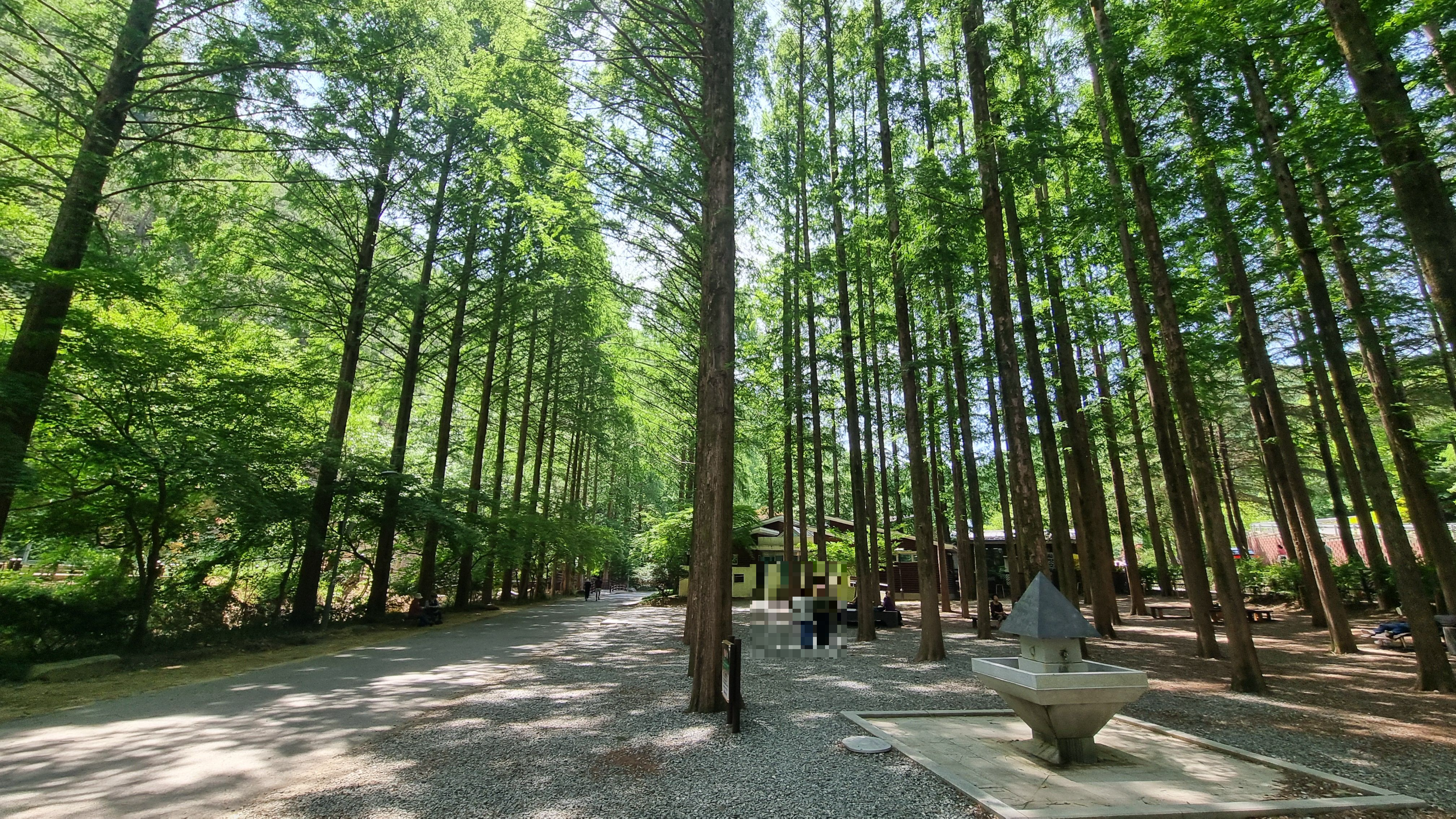 대전장태산자연휴양림