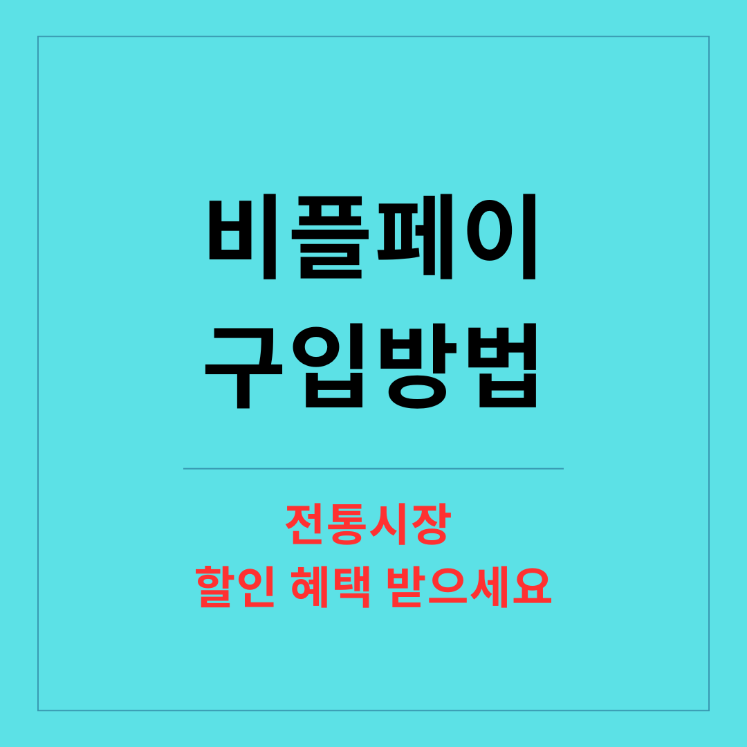 비플페이 구입방법