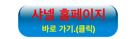 샤넬 홈페이지
