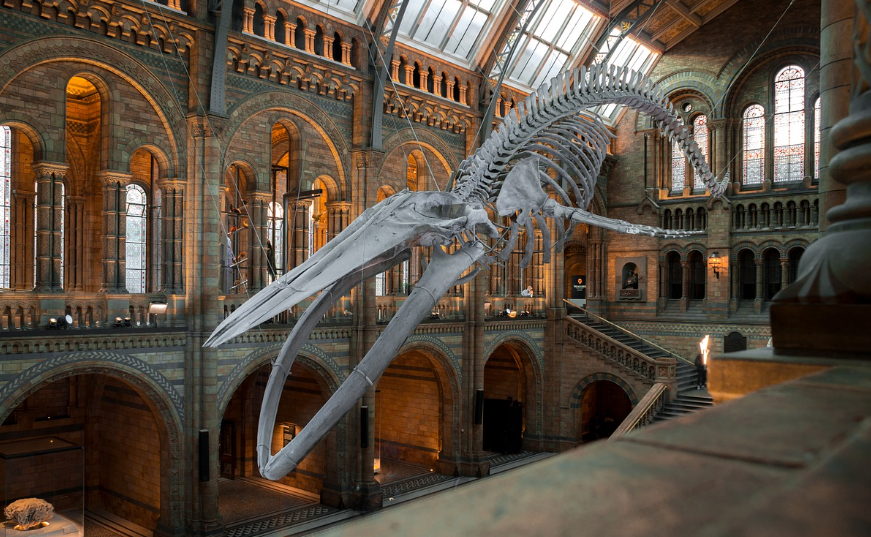 문화누리카드 온라인사용처, 신청자격, 잔액조회, 충전하기