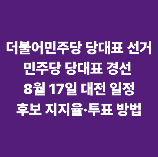 더불어민주당 당대표 선거 민주당 당대표 경선 8월 17일 대전 일정·후보 지지율·투표 방법