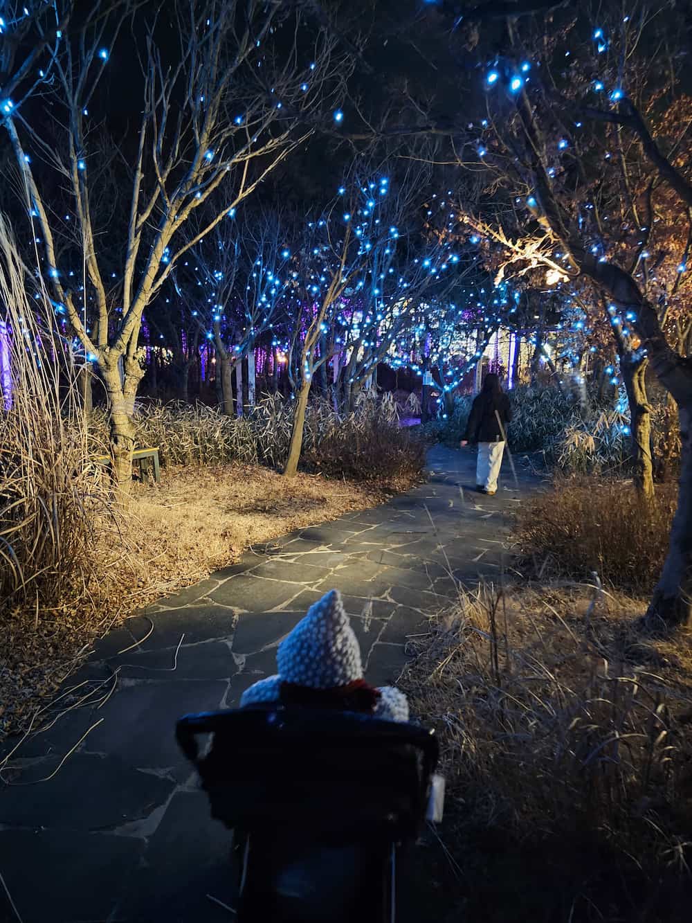 별빛정원우주 67