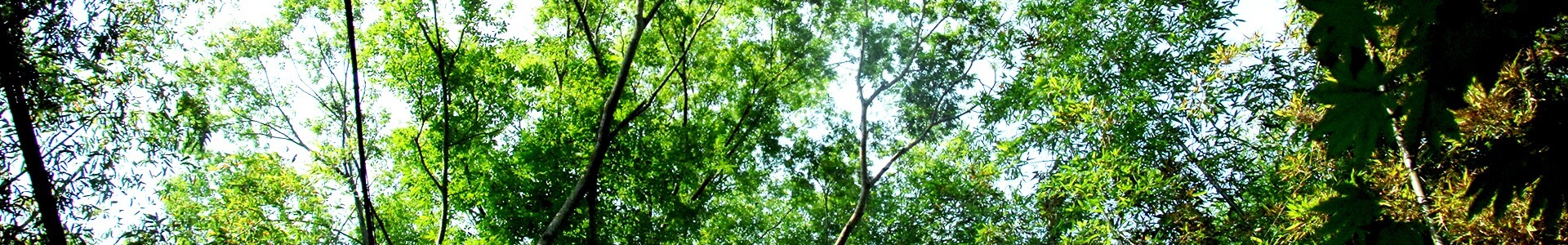 담양 소쇄원 입장료·운영시간·주변 관광 정보