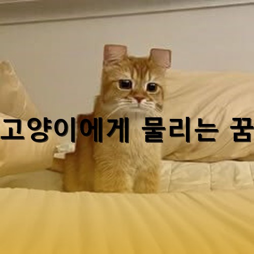 갈색-고양이가-침대위에-얌전하게-앉아있는-모습