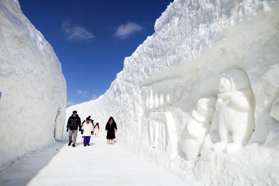 대관령 눈꽃축제 2026｜ 자연 설경을 만나는 겨울 축제 완벽 가이드 관련 사진