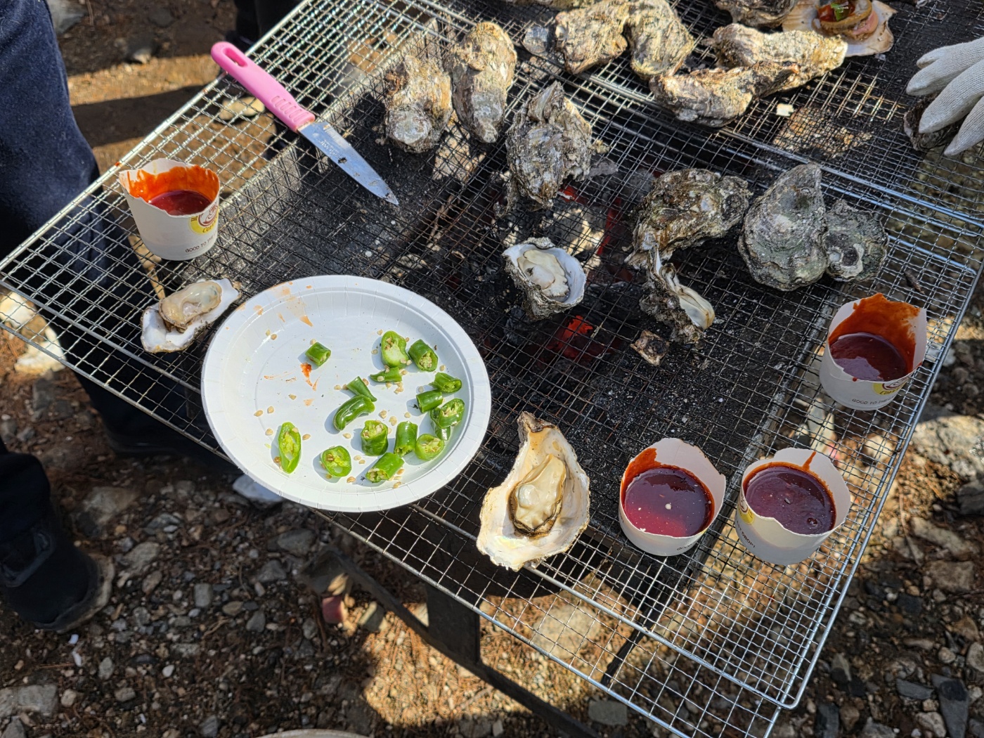 굴 찜 vs 굴 구이