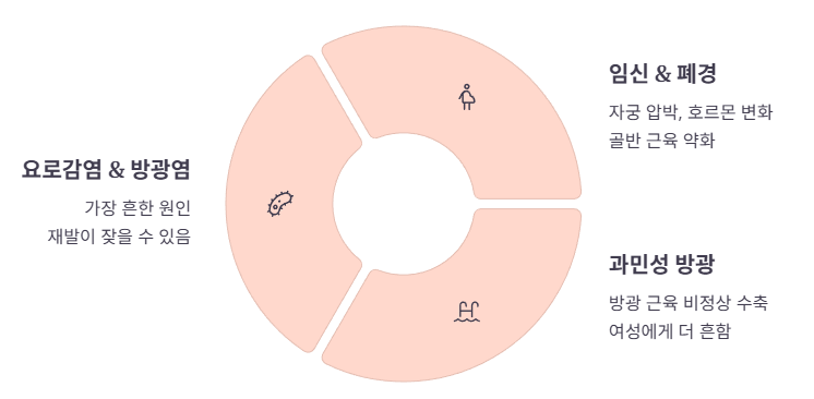 여성에게 소변이 자주 마려운 주요 원인