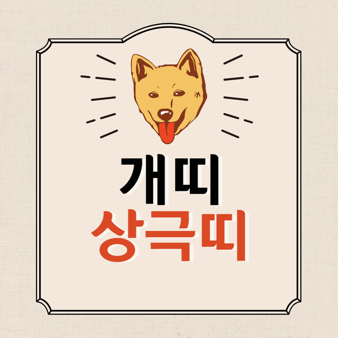 개띠와상극띠
개띠와안맞는띠