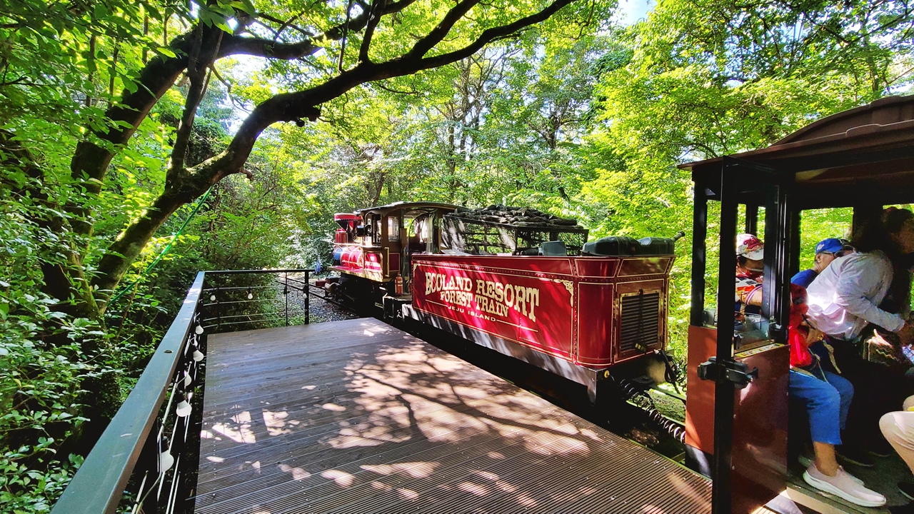 제주가족여행-곶자왈-기차여행-에코랜드 테마파크