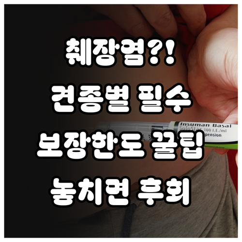 췌장염 취약 견종을 위한 보험 선택법..